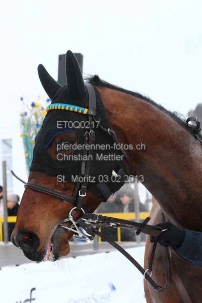 ET0Q0217 prot